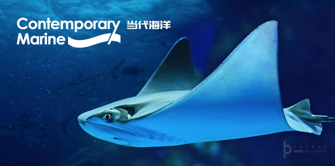 海洋生物科技品牌LOGO设计|深圳品牌全案设计公司